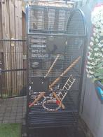 Papegaai kooi, Dieren en Toebehoren, Papegaai