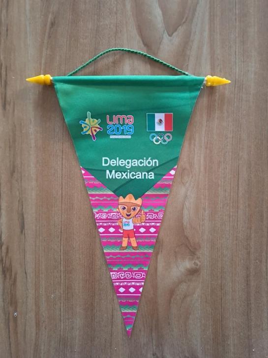 Vaantje Lima 2019 Panamericanos – Delegación Mexicana, Diversen, Vlaggen en Wimpels, Zo goed als nieuw, Ophalen of Verzenden