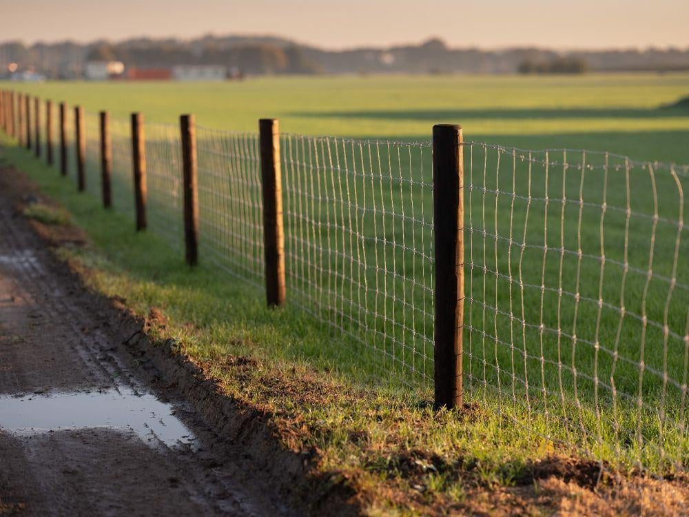Gefreesde Weidepalen 2m ‘DURA2’ Dubbele Impregnatie, Dieren en Toebehoren, Stalling en Weidegang, Weidegang