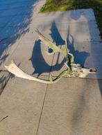 Damhert geweien – verschillende maten – (decoratie / hond), Ophalen, Hert, Gewei of Kop