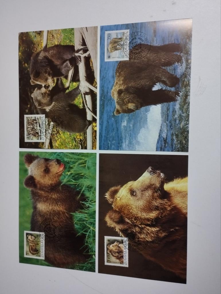 4 wwf postzegelkaarten over de bruine beer kleur verschillen, Collections, Cartes postales | Animaux, Enlèvement