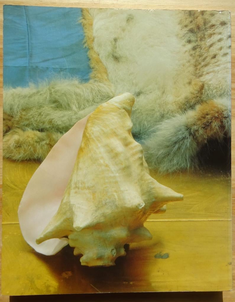 Joseph Beuys, Natur Materie Form, 1991 Nordrhein-Westfalen, Ophalen of Verzenden, Gelezen, Schilder- en Tekenkunst