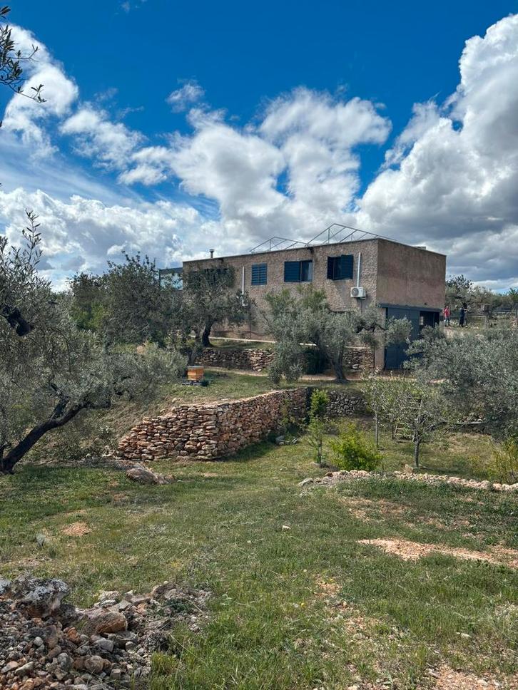 Spaanse olijfboerderij te huur, Vakantie, Vakantiehuizen | Spanje, Costa Dorada, Zwembad