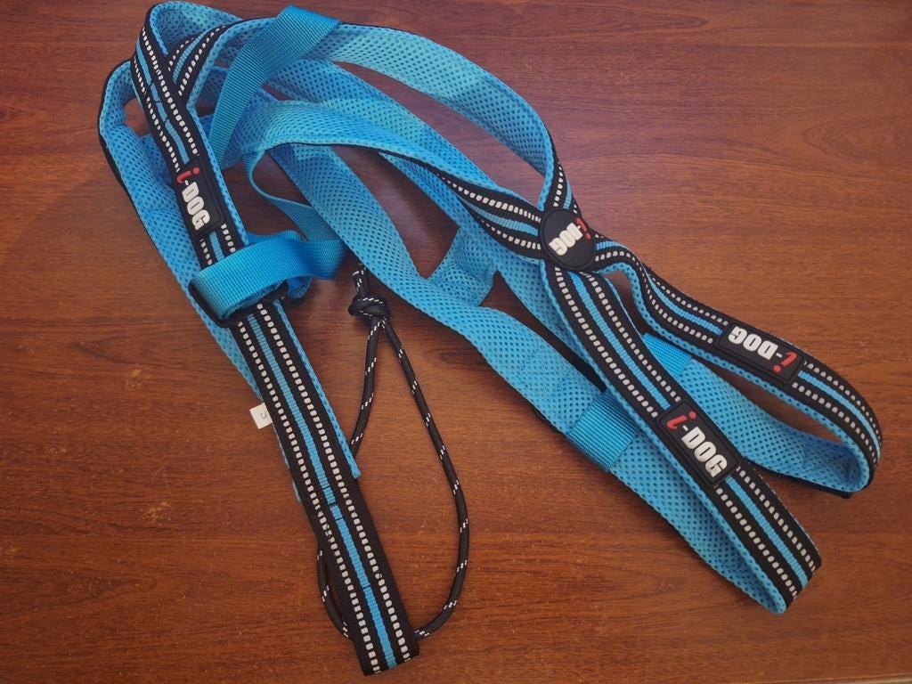 Harnais Canicross X-Back One - Taille S, Animaux & Accessoires, Enlèvement