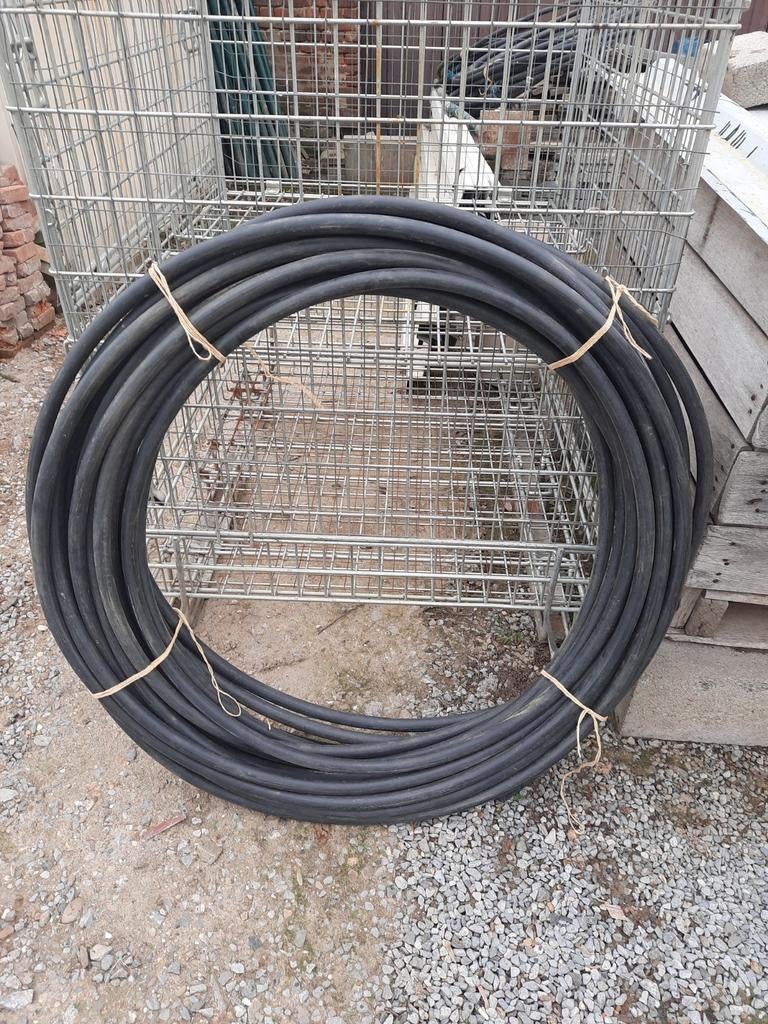 Zwarte waterdarm, Ophalen