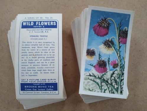 Wild Flowers 3e serie complete set 50 chromos 1964, Collections, Photos & Gravures, Nature, 1960 à 1980, Enlèvement ou Envoi