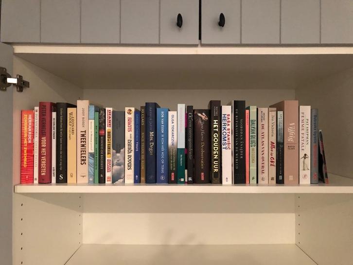 Verzameling recente Nederlandstalige en vertaalde romans, Boeken, Romans, Zo goed als nieuw, Ophalen of Verzenden