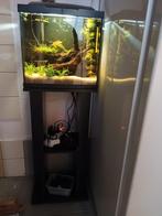 Tropical superfish 30, Ophalen, Gebruikt