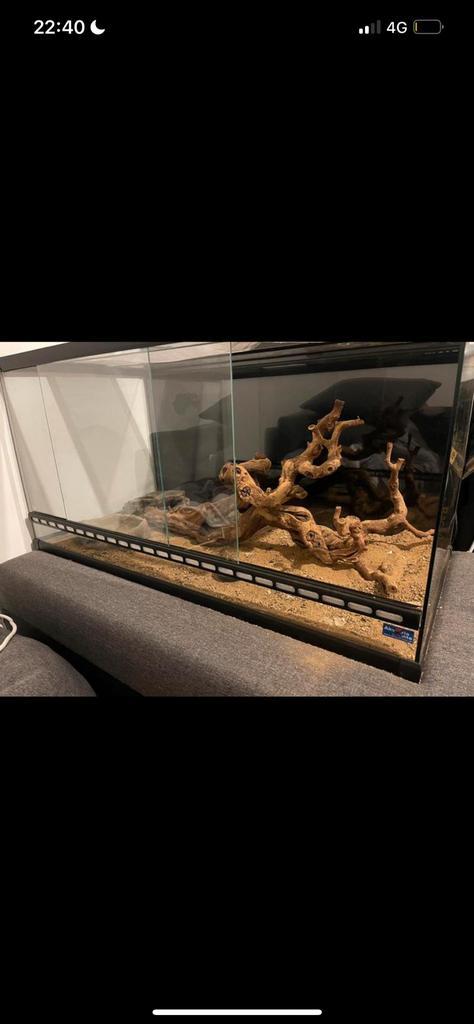 Terrarium + bijhorende accessoires, Dieren en Toebehoren, Reptielen en Amfibieën | Toebehoren, Ophalen