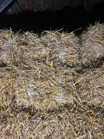 Stro, kleine balen stro, Dieren en Toebehoren, Dierenvoeding, Ophalen