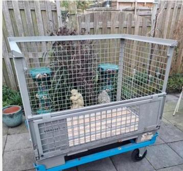 gitterbox met palletkar beschikbaar voor biedingen