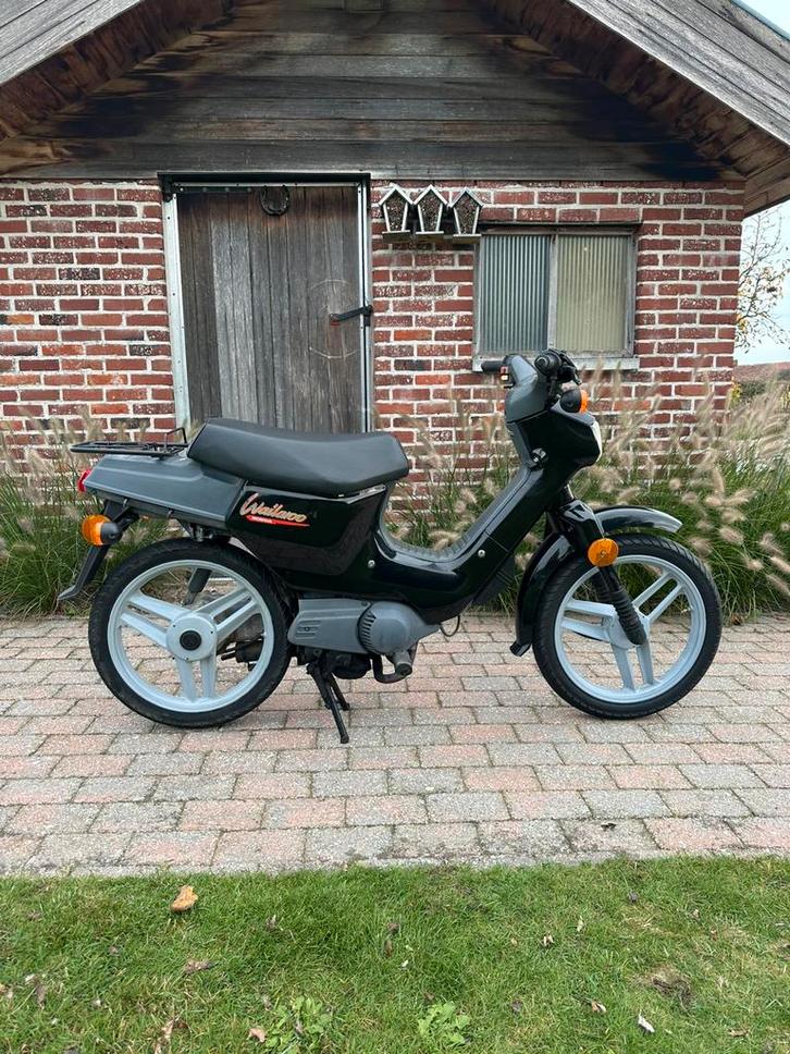 Honda wallaroo deluxe, Fietsen en Brommers, Brommers | Honda, Ophalen