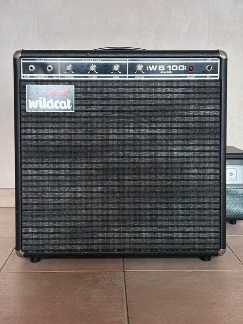 Wildcat (Novanex) WB100 bas versterker, Muziek en Instrumenten, Versterkers | Bas en Gitaar, Gebruikt, Gitaar, Ophalen