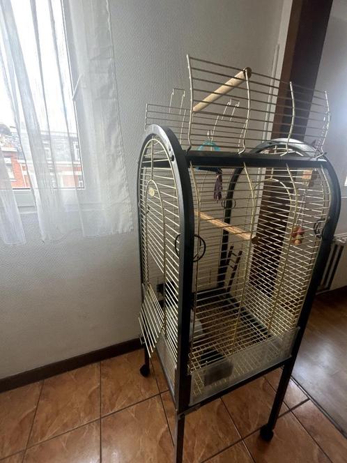 Grote parkiet-/kleine papegaaienkooi gekocht voor 240 euro, Dieren en Toebehoren, Vogels | Hokken en Kooien, Zo goed als nieuw