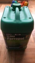 Flora ferropol, Enlèvement