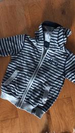Gilet mc Gregor maat 104, Gebruikt, Mc gregor, Trui of Vest, Ophalen of Verzenden