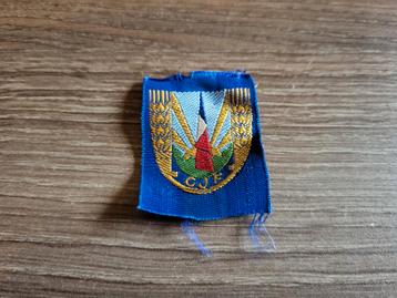 badge Chantiers de la Jeunesse, Vichy 2WW  beschikbaar voor biedingen