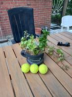 Tennisballen, Sport en Fitness, Ophalen, Gebruikt, Ballen