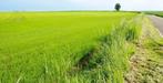 Cherche terrains agricoles à vendre, Zakelijke goederen, Landbouw | Onroerend goed, Ophalen, Cultuurgrond