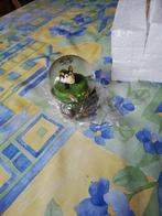 Boule de neige Sanglier. Neuve., Ophalen of Verzenden, Zo goed als nieuw