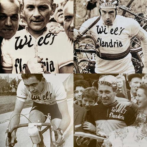 GEZOCHT Wiel’s-Flandria koerstrui wielertrui wol vintage, Vélos & Vélomoteurs, Accessoires vélo | Vêtements de cyclisme, Utilisé