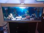 Mooie aquarium 1m20, Dieren en Toebehoren, Ophalen