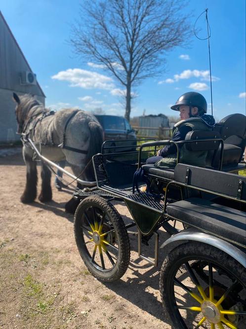 Menkoets te koop, Dieren en Toebehoren, Paarden en Pony's | Hoofdstellen en Tuigage, Ophalen