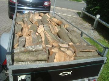 bois de chauffage, Hêtre, bûches de 33 cm, petites quantités beschikbaar voor biedingen