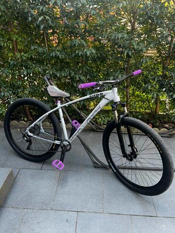 C100 Collective fietsen  beschikbaar voor biedingen