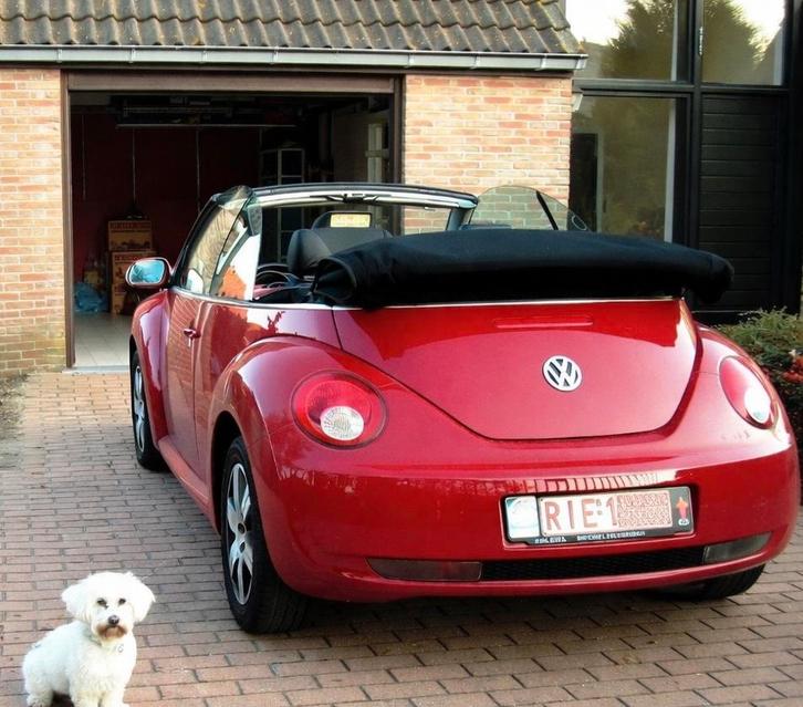 Volkswagen Beetle cabrio, Auto's, Volkswagen, Particulier, Beetle (Kever), Benzine, Euro 4, Cabriolet, 2 deurs, Automaat, Rood