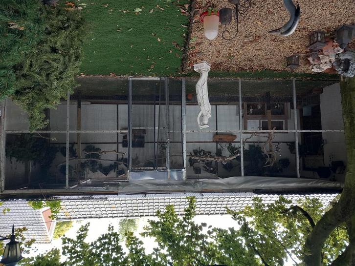 Grote buiten voliere, Dieren en Toebehoren, Vogels | Hokken en Kooien, Gebruikt, Volière, Aluminium, Ophalen