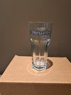 Hoegaarden en kriek belle vue glazen!, Verzamelen, Ophalen of Verzenden, Nieuw