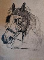 Pentekening paardekop, Ophalen