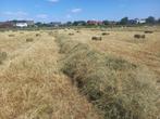 Kleine pakjes voordroog hooi, Dieren en Toebehoren, Ophalen, Vee