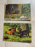2 postkaarten van Wenau-Delila, Verzamelen, Postkaarten | Dieren, Ongelopen, Ophalen of Verzenden, Voor 1920, Hond of Kat