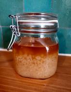grains de kéfir à donner (kéfir d'eau / kéfir de fruits), Diversen, Ophalen