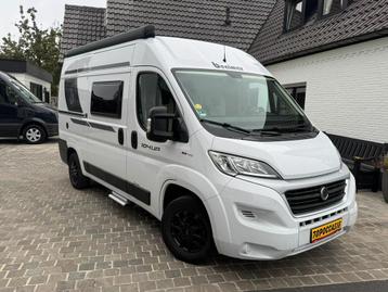 Fiat Ducato Benimar Benivan 104 Up beschikbaar voor biedingen