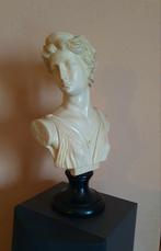 Statue en buste sur pied ARTEMIS, Antiquités & Art, Art | Sculptures & Bois, Enlèvement ou Envoi