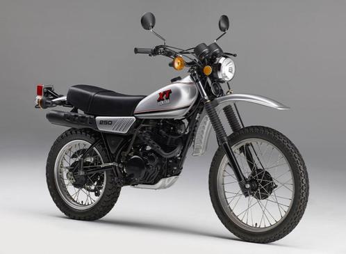 Zoek: oldtimer  Yamaha XT 250  in uitstekende staat, Motoren, Motoren | Oldtimers, Overig, Ophalen