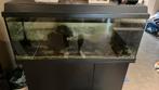 Aquarium met kast, Dieren en Toebehoren, Ophalen, Gebruikt, Leeg aquarium