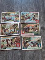 liebig prenten (potjes). Zeer zeldzaam: geologische perioden, Envoi, Utilisé, Gravure