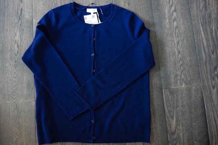 Cardigan cachemire prune "DARLING HARBOUR" Envoi compris, Kleding | Dames, Truien en Vesten, Nieuw, Verzenden