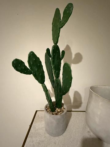 Fake faux nep cactus decoratie beschikbaar voor biedingen
