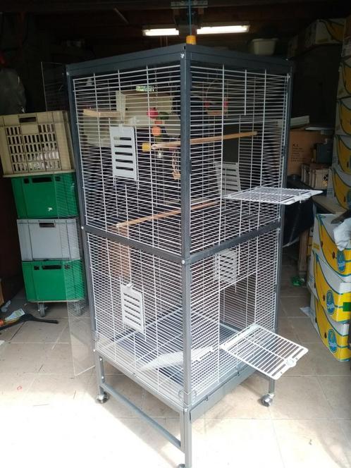 Volière, Dieren en Toebehoren, Vogels | Hokken en Kooien, Zo goed als nieuw, Volière, Metaal, Ophalen