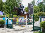 Opleiding jonge paarden, zadelmak maken, studenten training