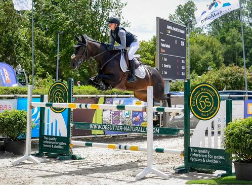 Opleiding jonge paarden, zadelmak maken, studenten training, Diensten en Vakmensen, Dieren | Paarden | Verzorging, Oppas en Dressuur