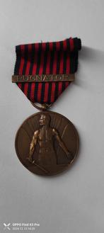 Médaille Volontaire belge agrafe pugnator, Collections, Enlèvement ou Envoi