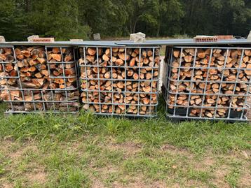Brandhout Perenboom beschikbaar voor biedingen