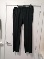Blauwe broek met elastische tailleband , XL, Ophalen of Verzenden, Nieuw