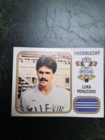 1981 sporting Anderlecht, Verzamelen, Ophalen of Verzenden, Zo goed als nieuw